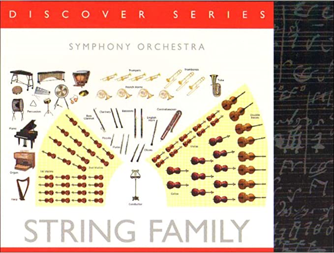 Discover the Instruments of the Orchestra