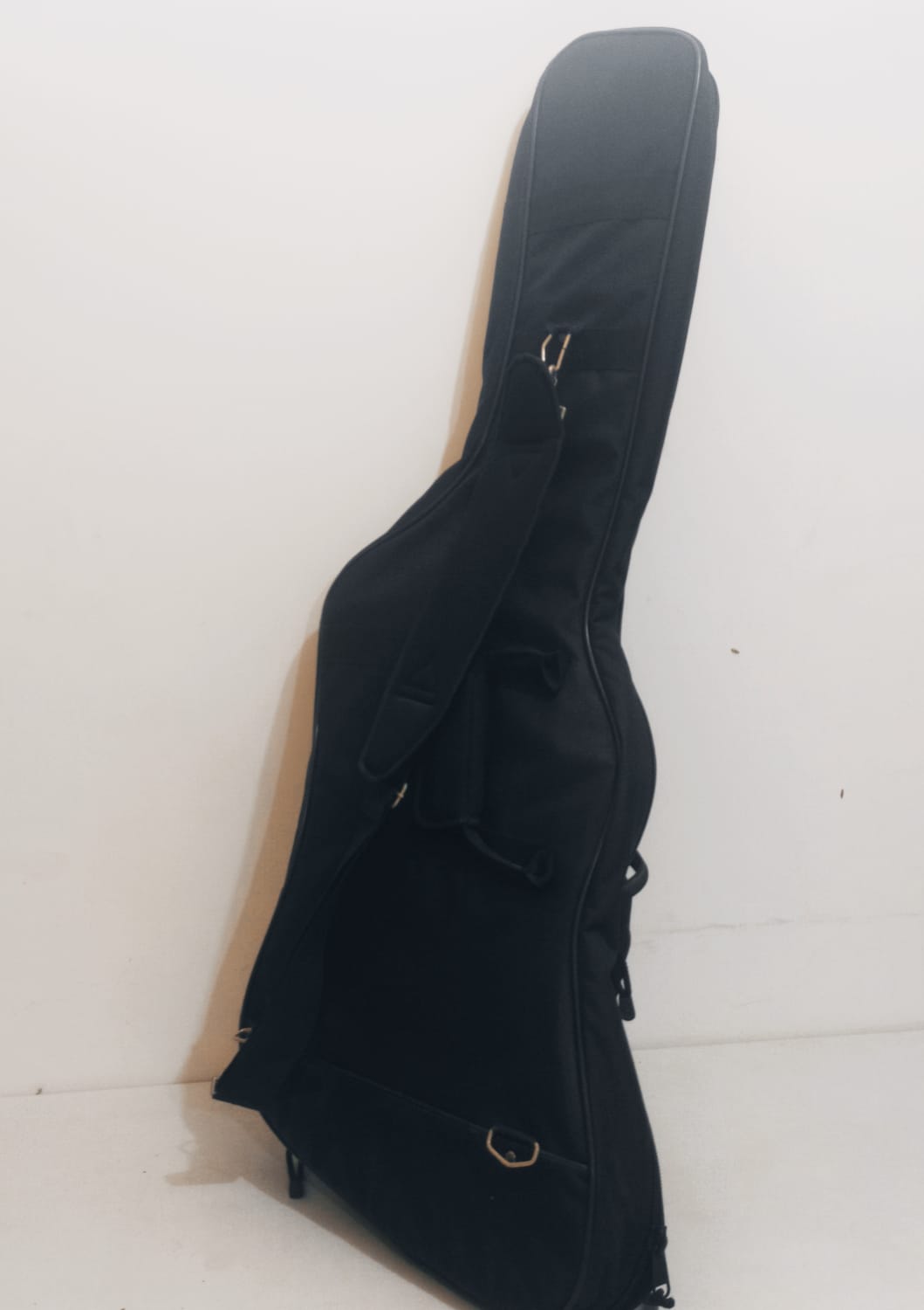 Estuche para Guitarra, Washburn, Edición Paul Stanley