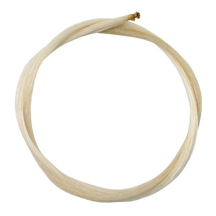 Cerdas para Violín